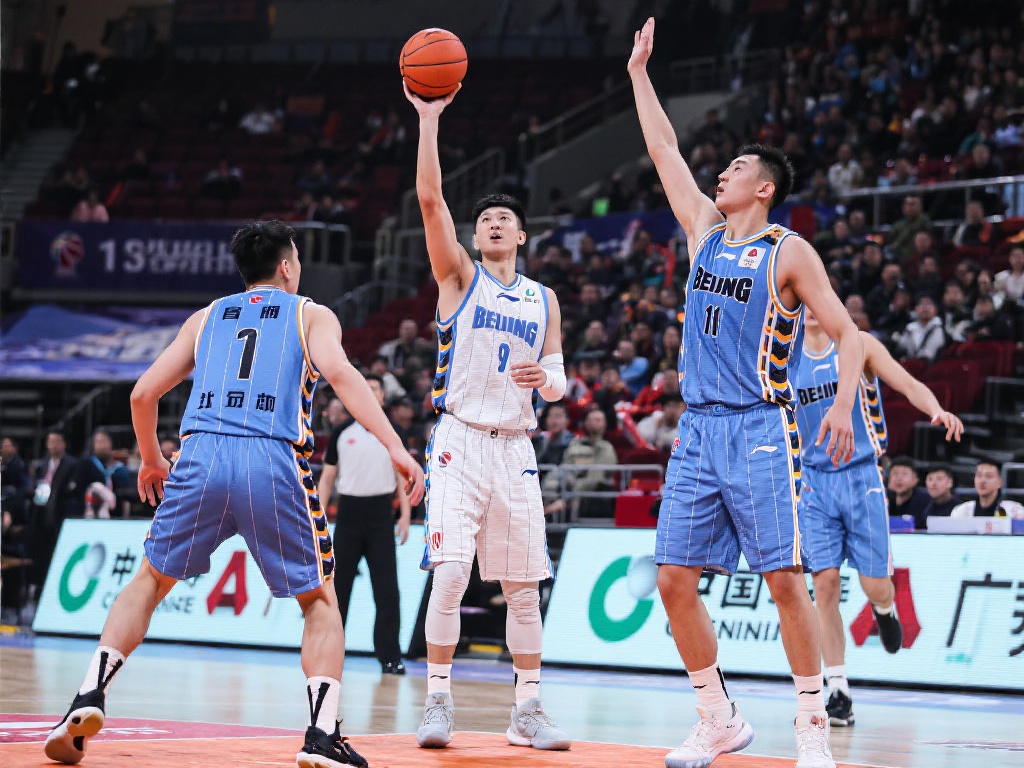 高质量的内 高质量的内