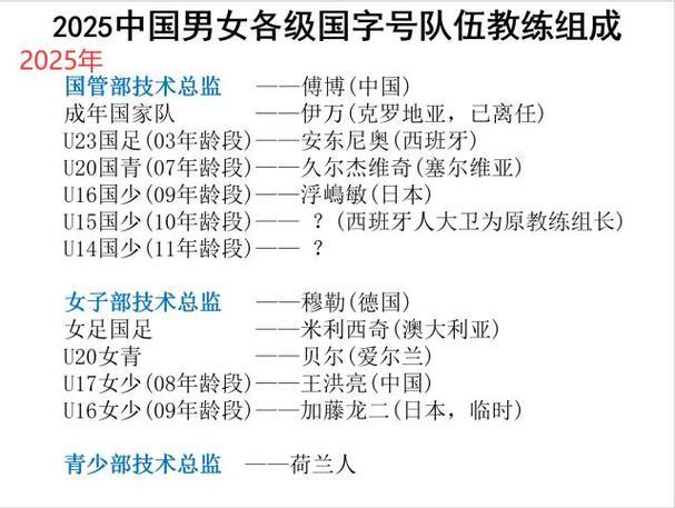足协改变国字号选帅程序 国足选帅展开前先定技术总监 足协改变国字号选帅程序 国足选帅展开前先定技术总监